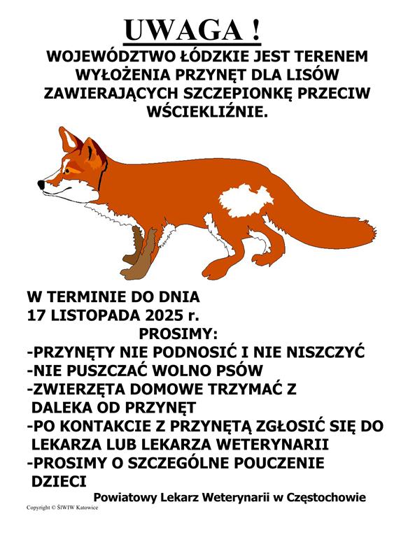 Akcja szczepienia lisów w województwie łódzkim