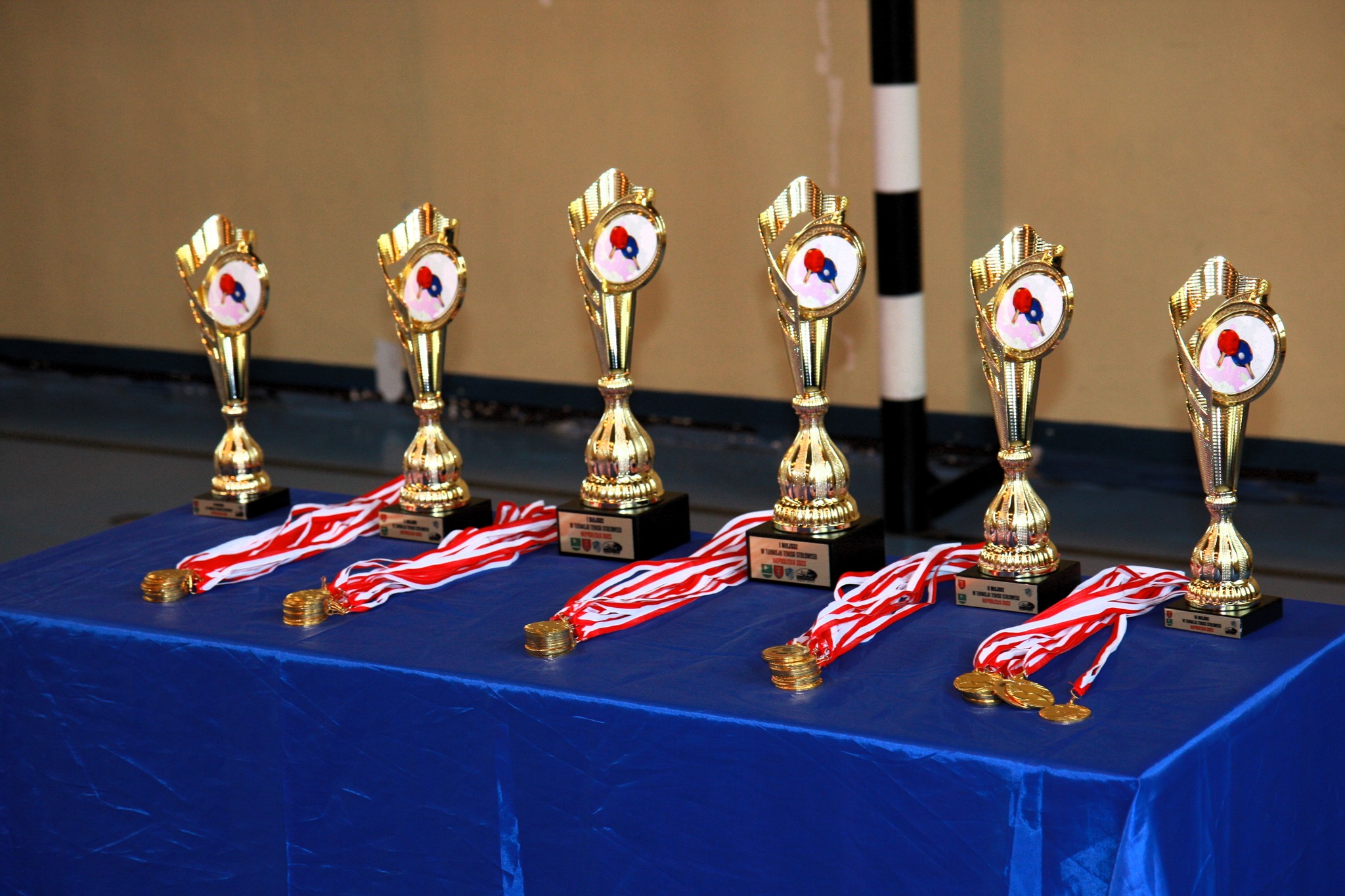 Powiatowy Turniej Tenisa Stołowego w Garnku